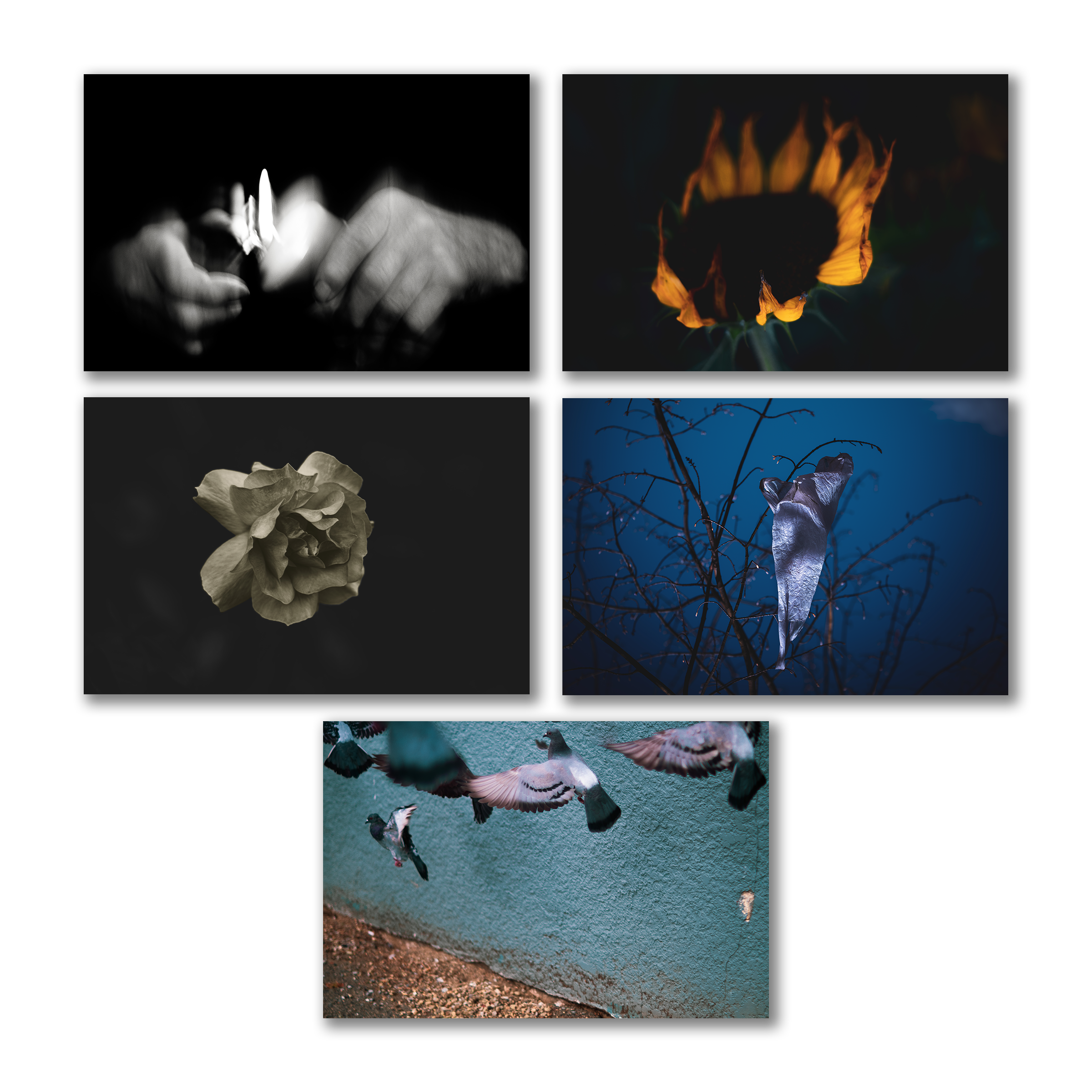 Vinyl + Autographed Postcard Set